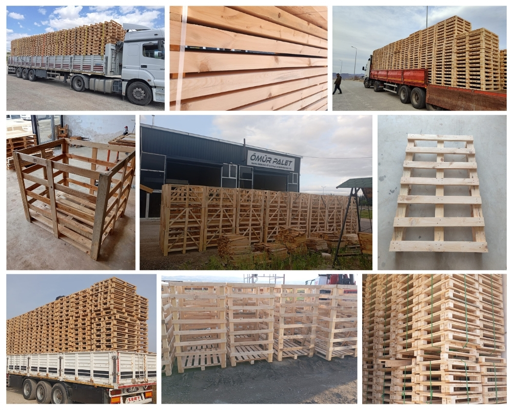 Doornenburg Houten Kisten, Europallets Groothandel Kopen